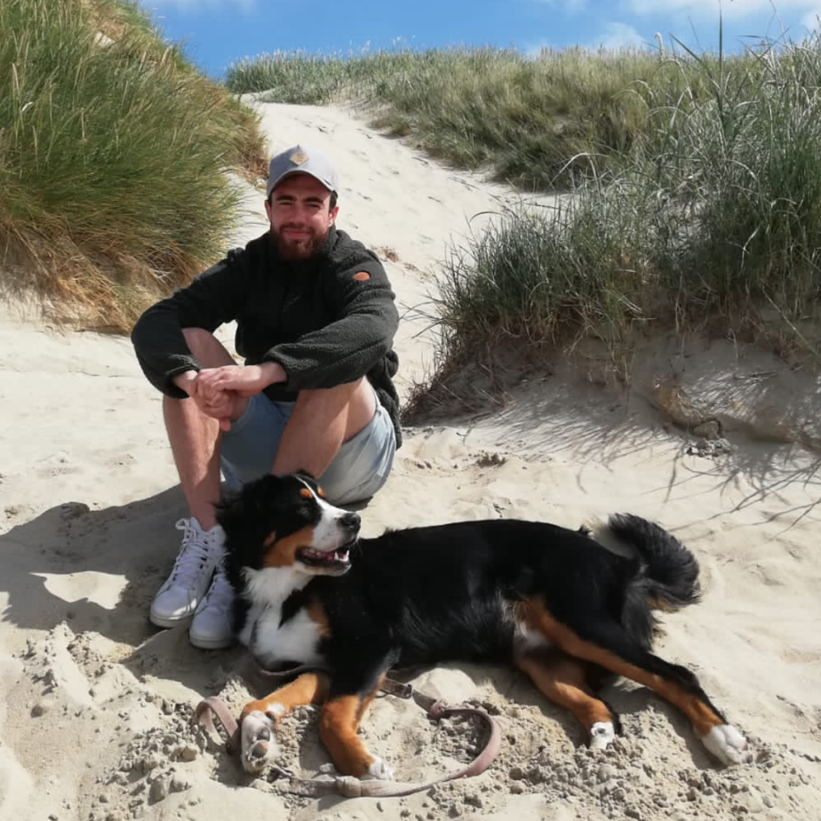 wulfdogs Hundetraining Mobile Hundeschule Hamm Alltag Familie